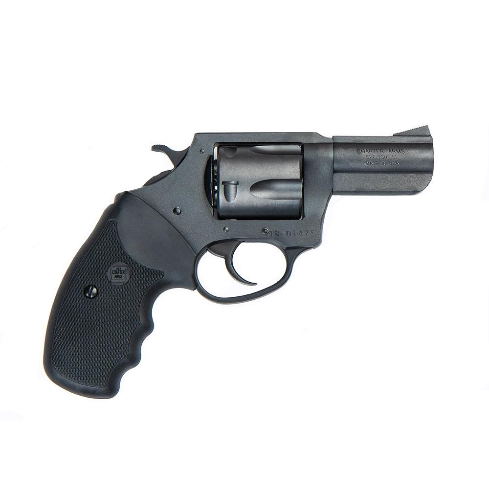 Charter Arms Bulldog 44 Special - BOAZ view 2