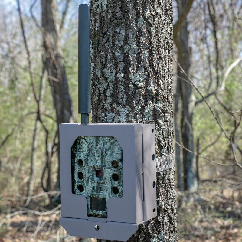 Primos Security Box - 2A in MD view 2