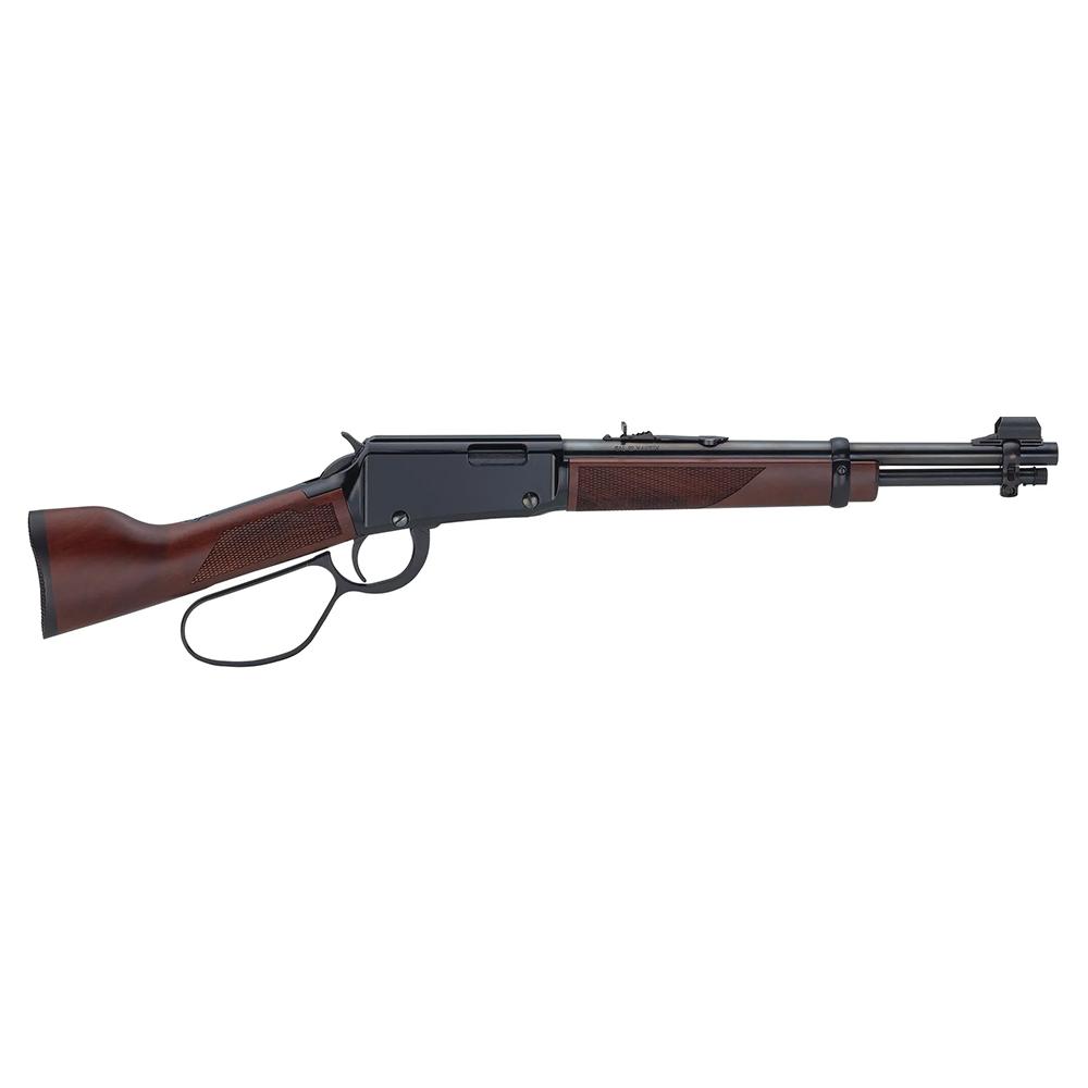 Henry Mare's Leg - 2A in MD view 2