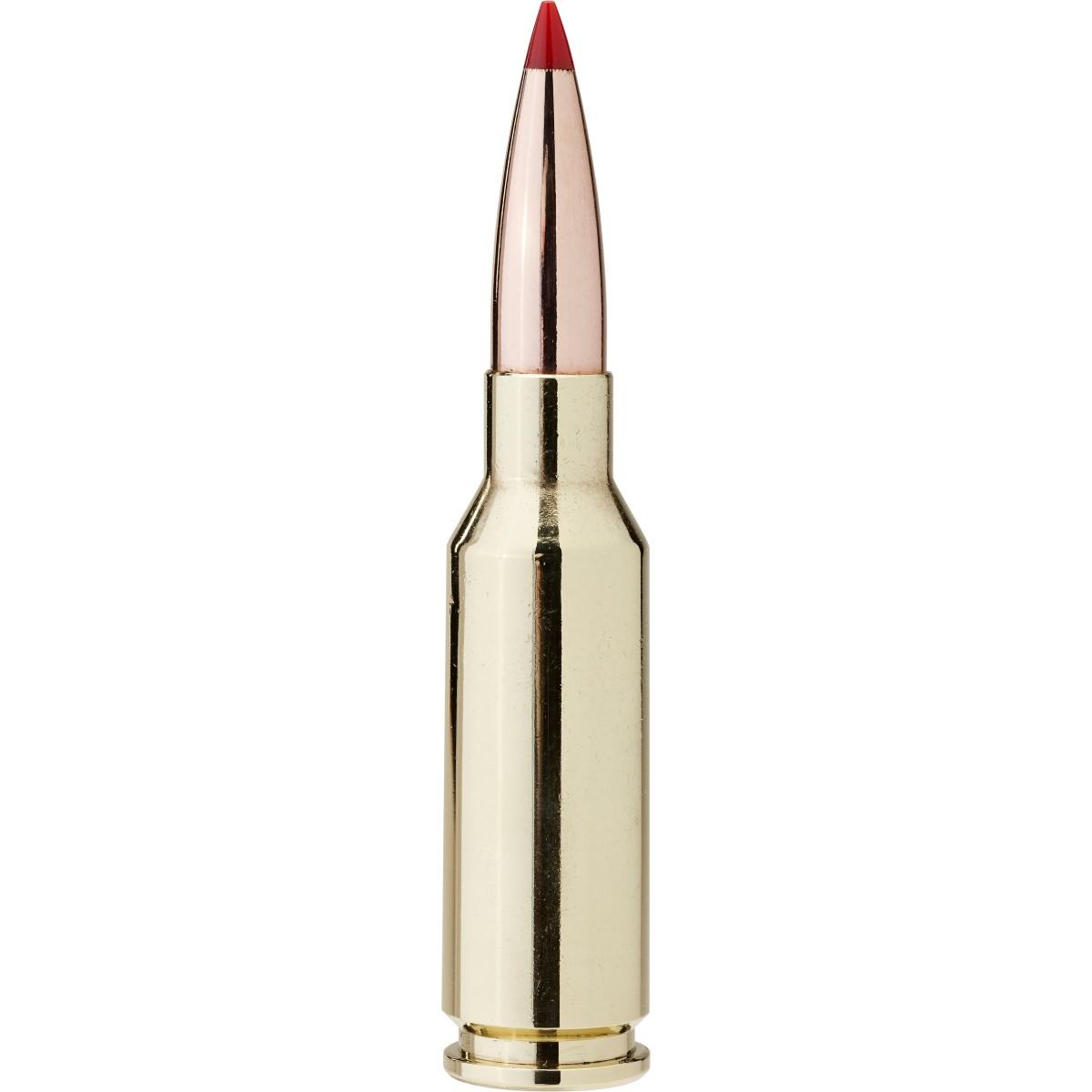 Hornady Mfg - 2A in MD view 2