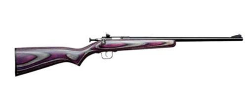 Keystone Sporting Arms Crickett 22 LR - BOAZ view 2