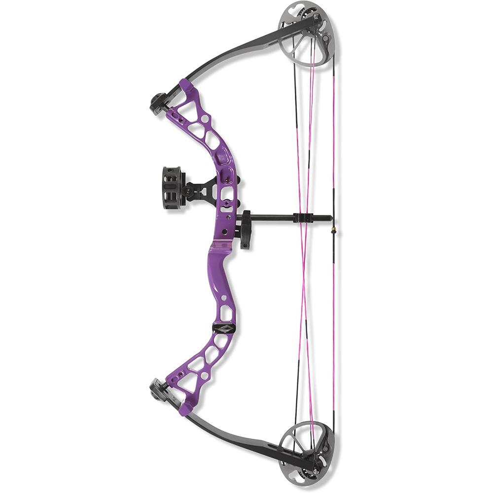 Diamond - Purple Mountain Armory view 2