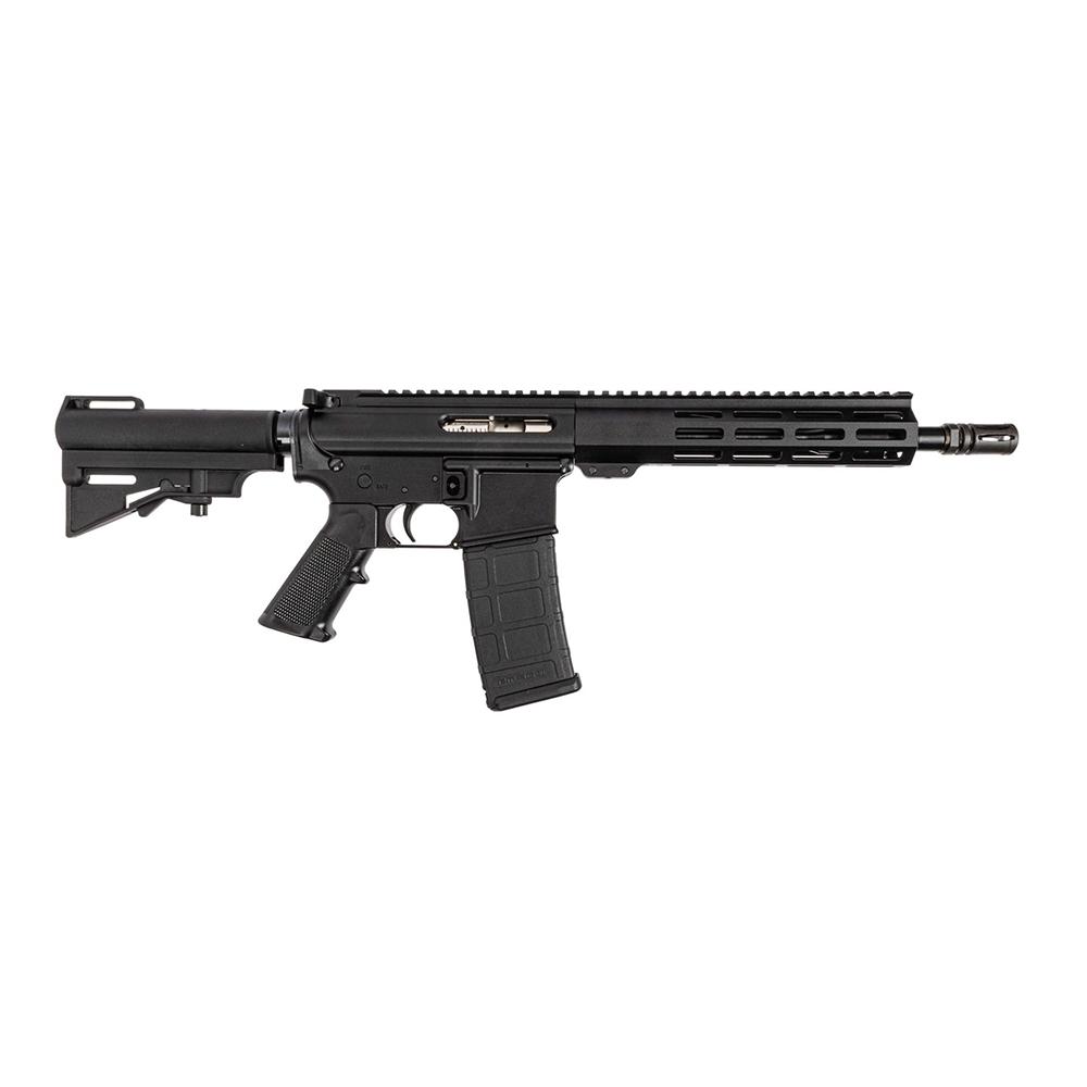 DPMS PANTHER ARMS DP-15 - 2A in MD view 2