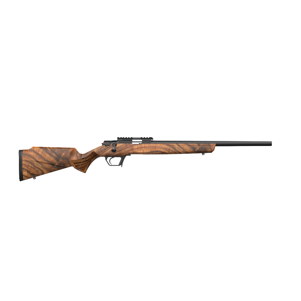 Retay Asend 22 LR - BOAZ view 2