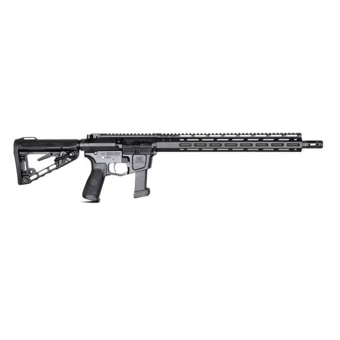 Wilson Combat AR9G - 2A in MD view 2