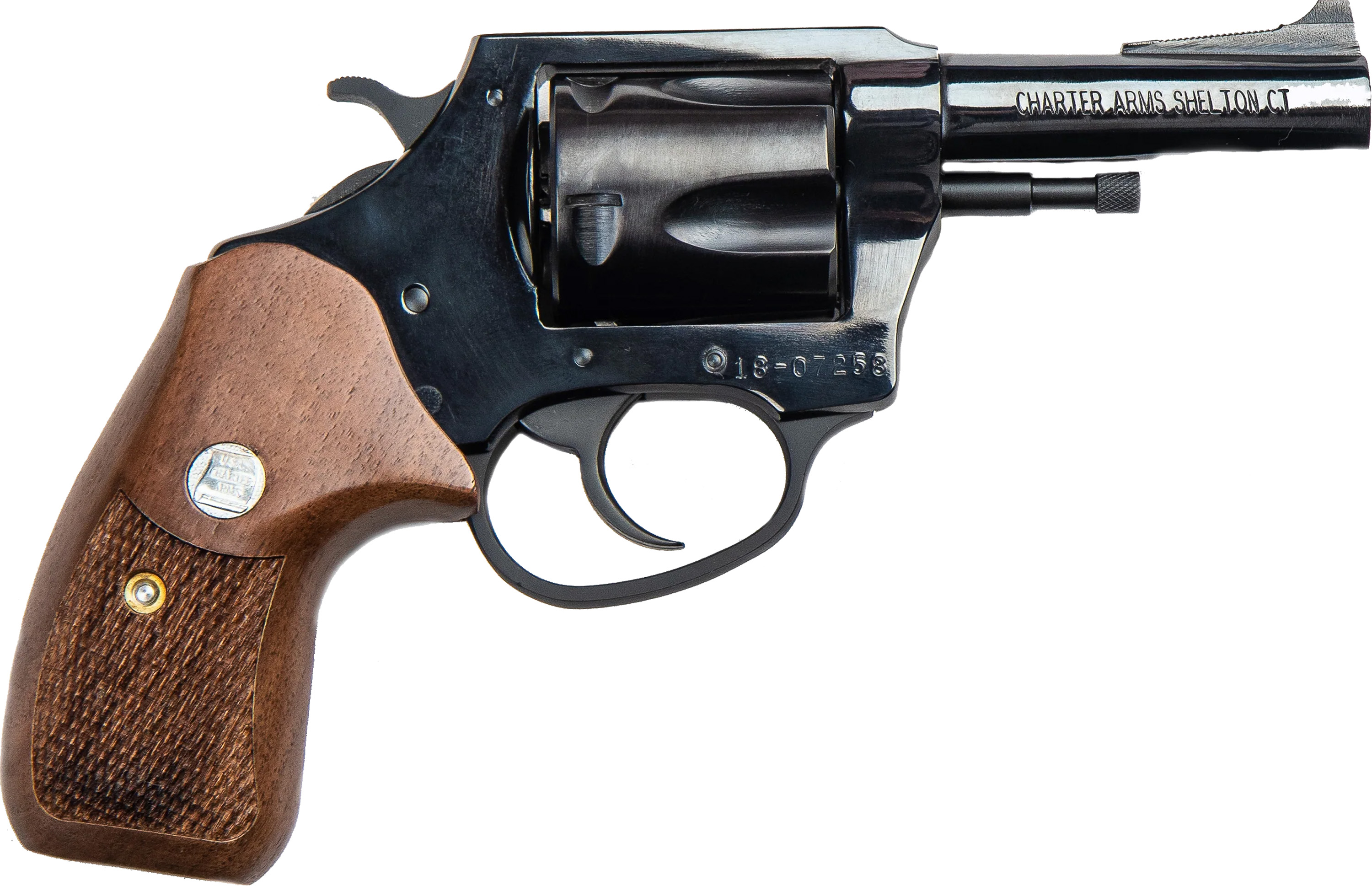 Charter Arms Classic Bulldog 44 S&W Spl - All Geared Up FFL view 3