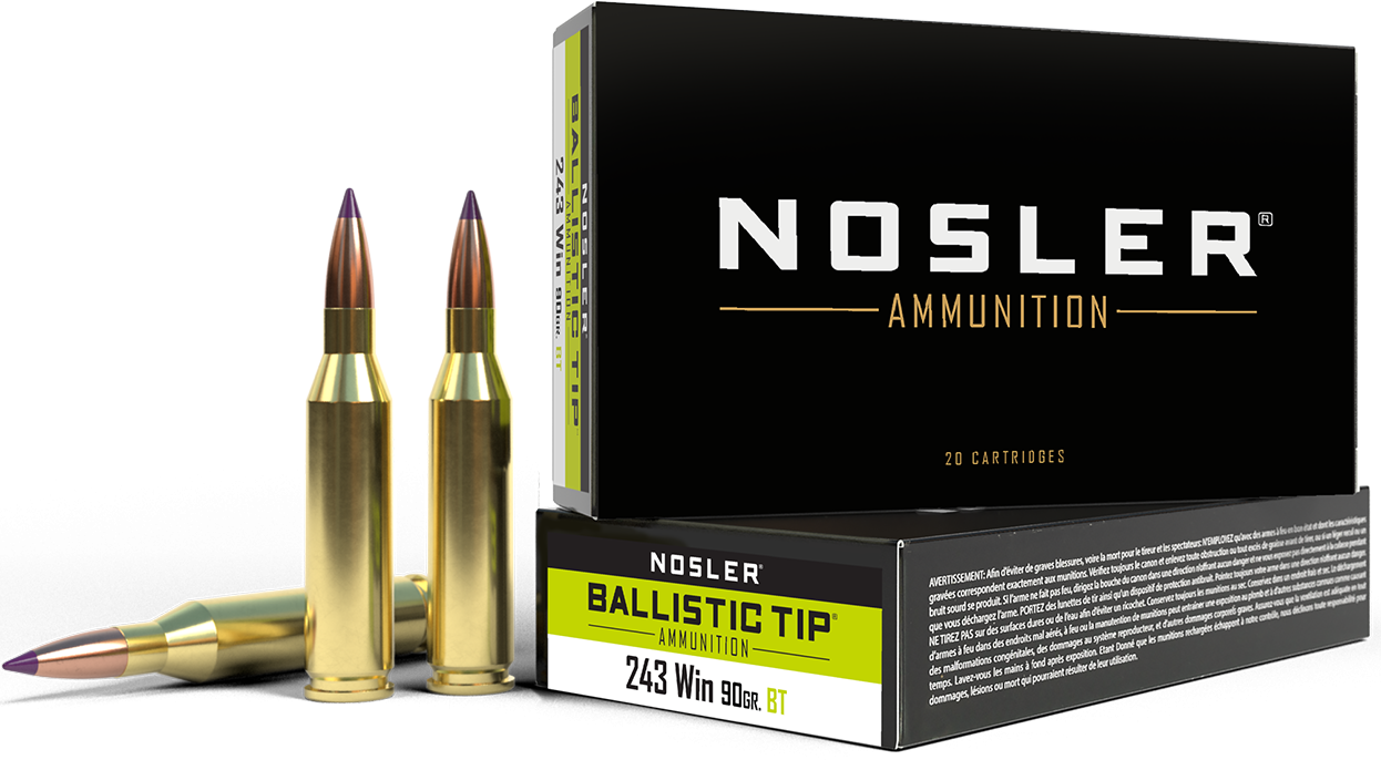 Nosler Ballistic Tip 243 Win - All Geared Up FFL view 4