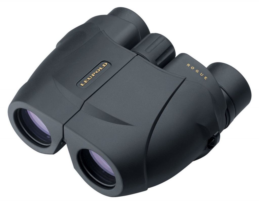 Leupold BX-1 Rogue - Purple Mountain Armory view 5