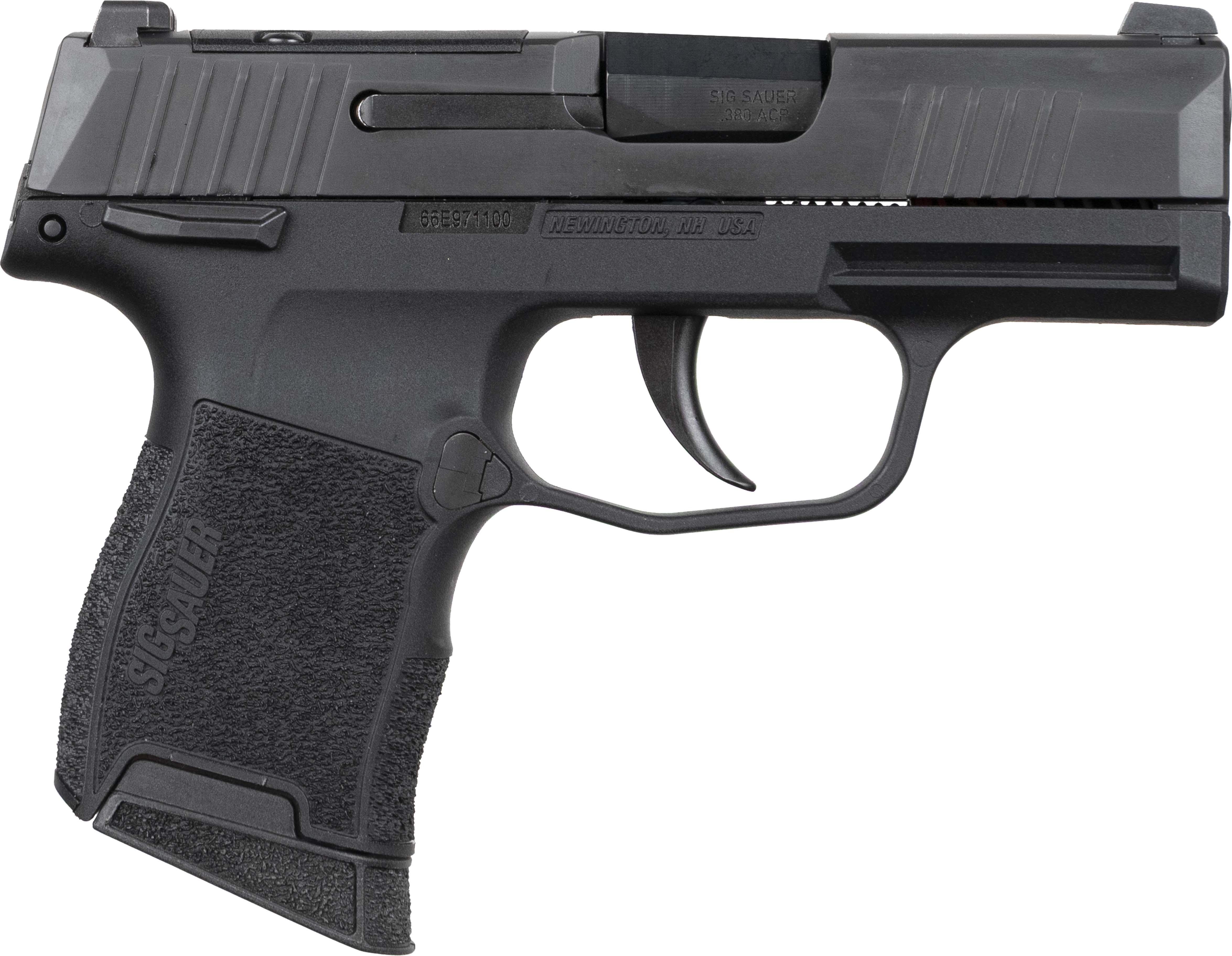 Sig Sauer P365 380 Auto - Purple Mountain Armory view 2