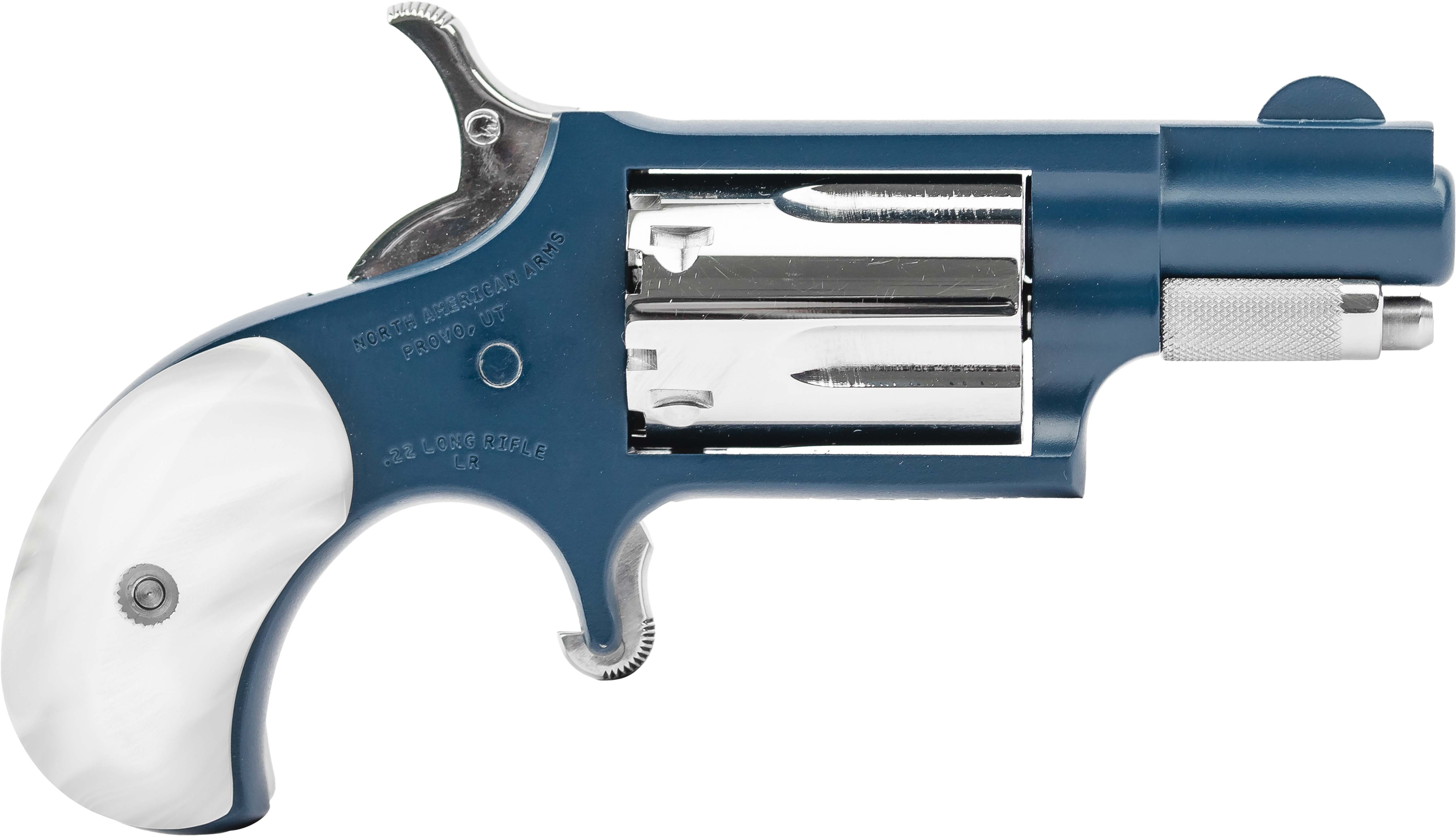 NAM MINI-REV 22LR 1.125 NBHP