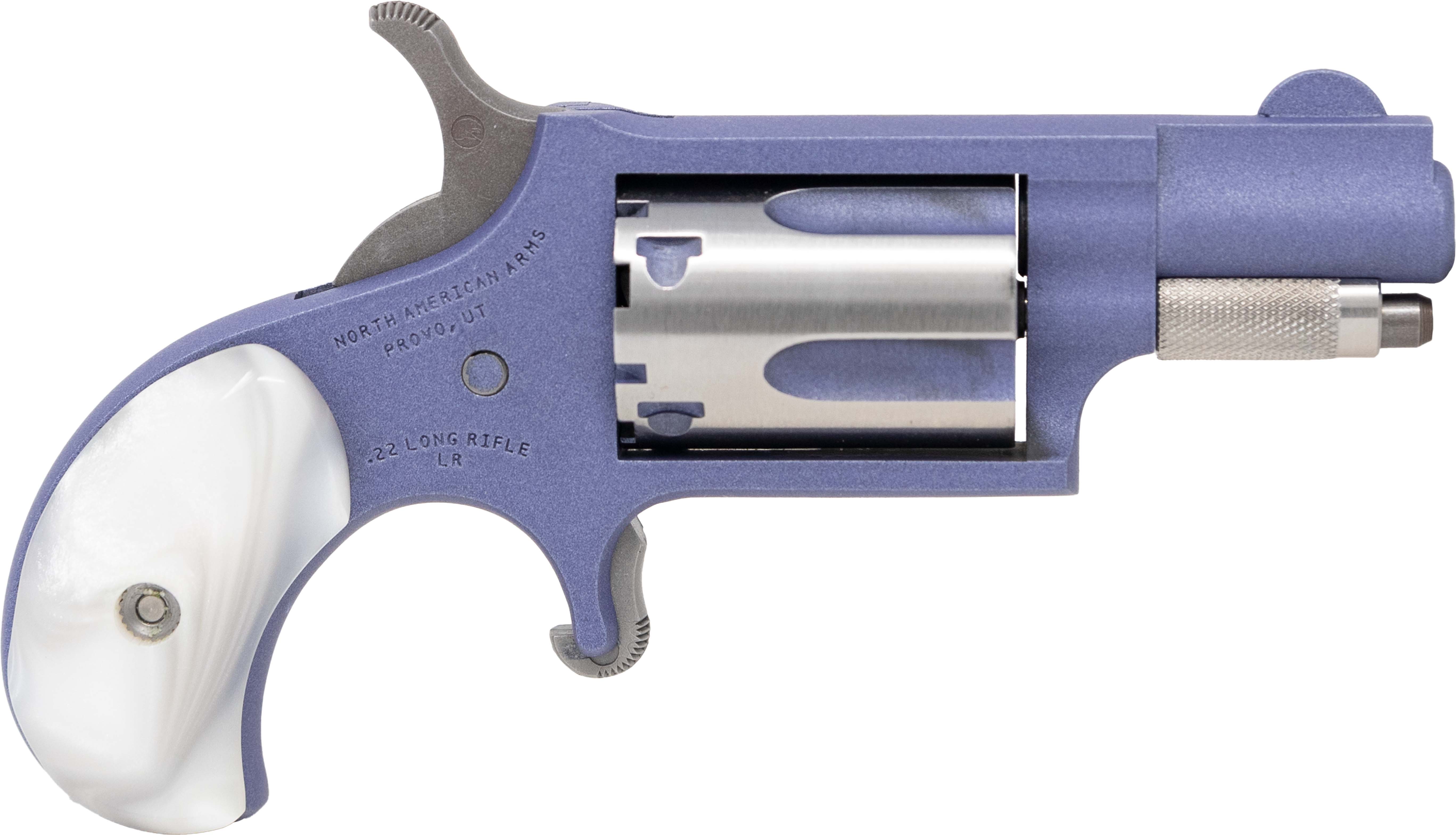 NAM MINI-REV 22LR 1.125SS ORCD