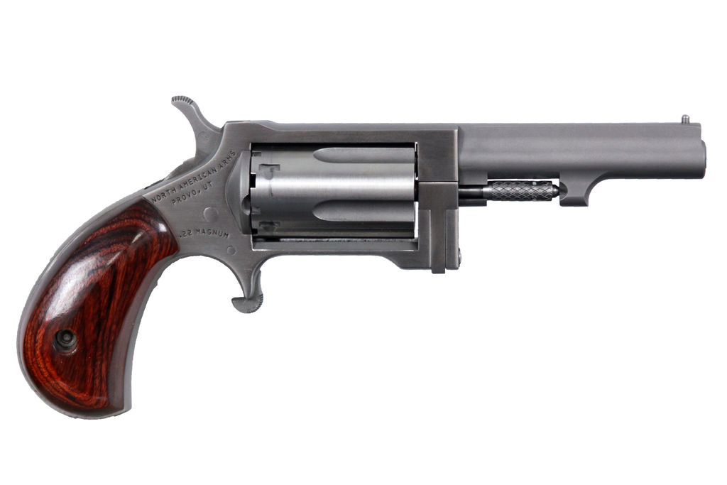 North American Arms Sidewinder Conversion 22 LR | 22 Magnum view 3