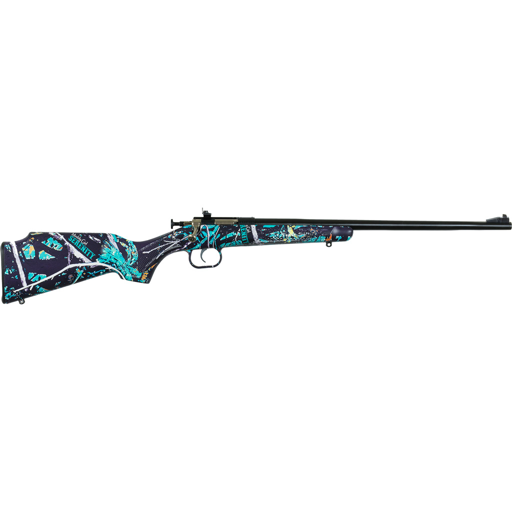 Keystone Sporting Arms Crickett 22 LR - Jimmy's Creek Firear view 3