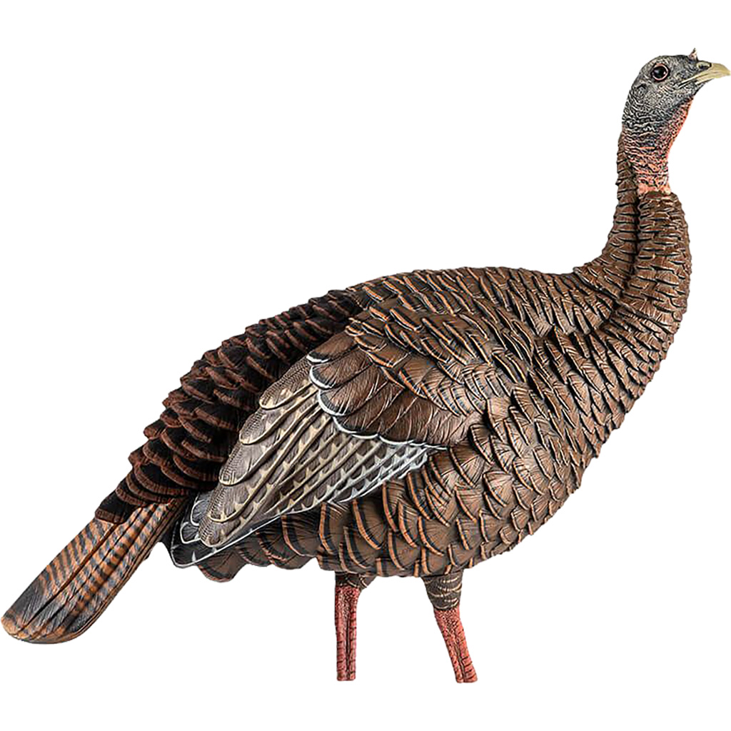 AVIAN X (GSM) HDR - Jimmy's Creek Firearms view 2