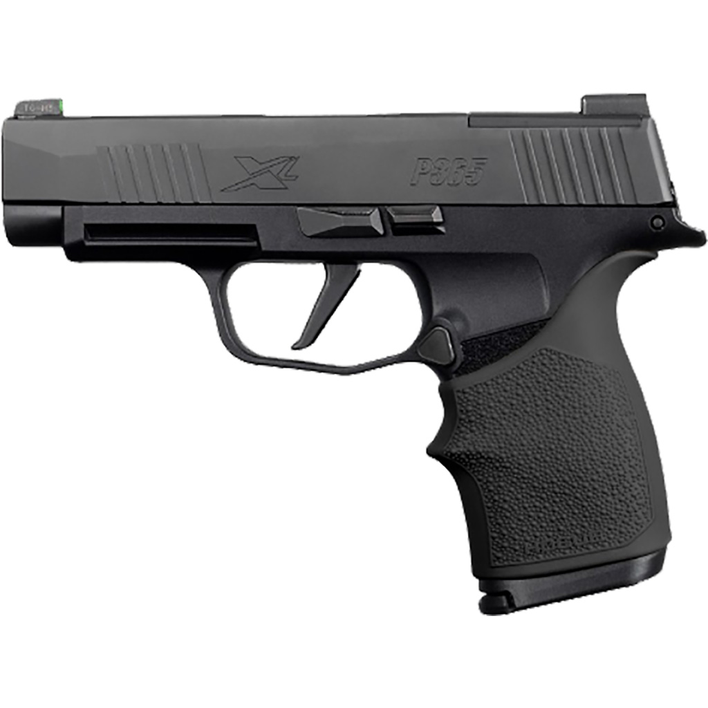 Hogue Inc. - Purple Mountain Armory view 5