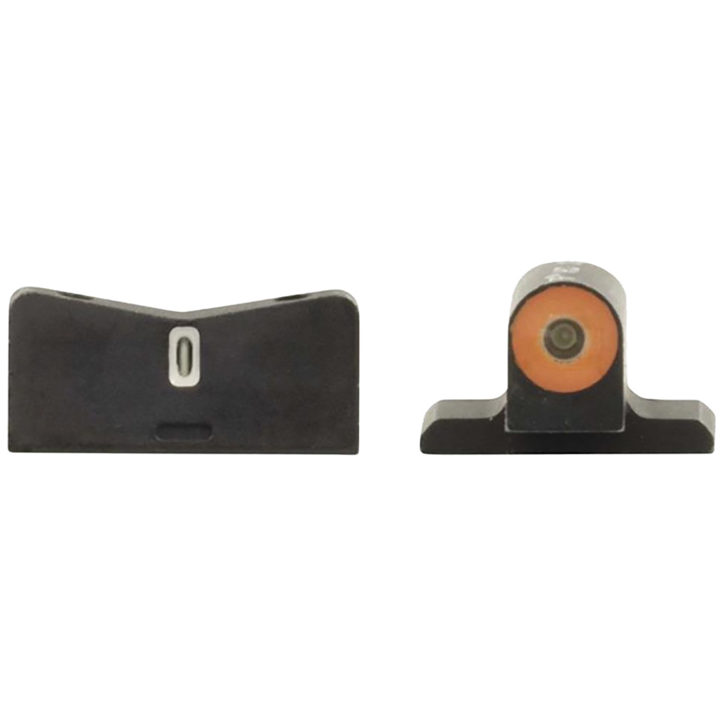 XS Sights Big Dot Tritium Front — DXT2 - Purple Mountain Arm view 4