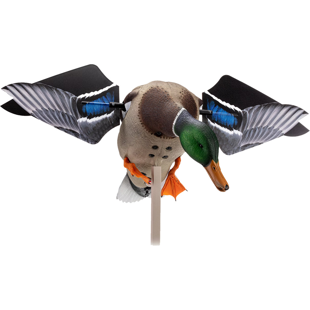 Avian-X - Purple Mountain Armory view 3