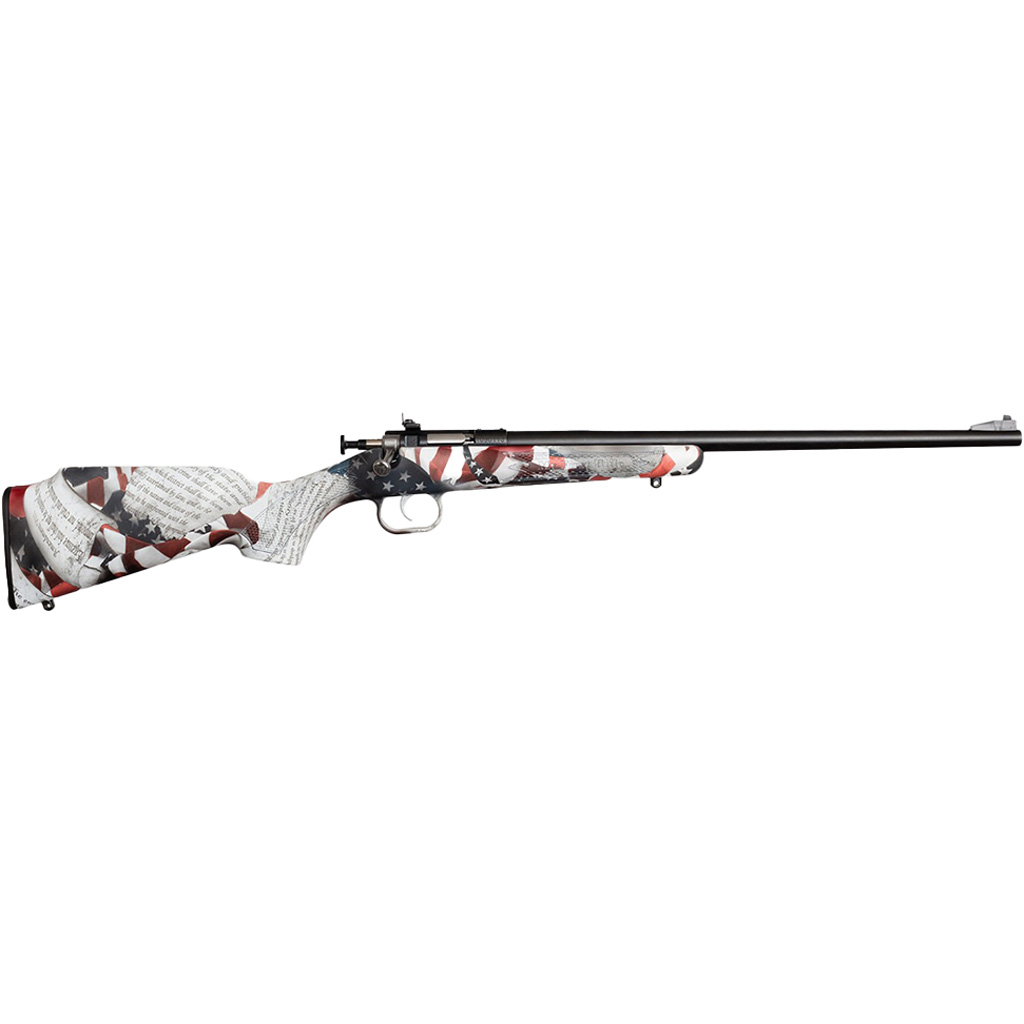 Keystone Sporting Arms Crickett 22 LR - Jimmy's Creek Firear view 3