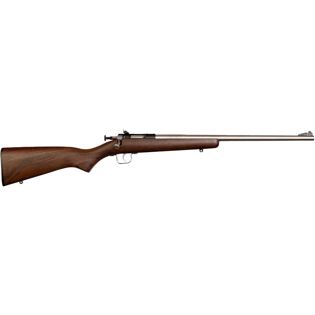 Keystone Sporting Arms Crickett 22 LONG RIFLE - Purple Mount view 4