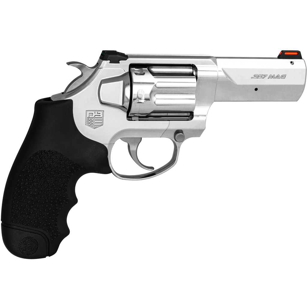 Diamondback Firearms SDR 357 Magnum | 38 Special - Jimmy's C view 4