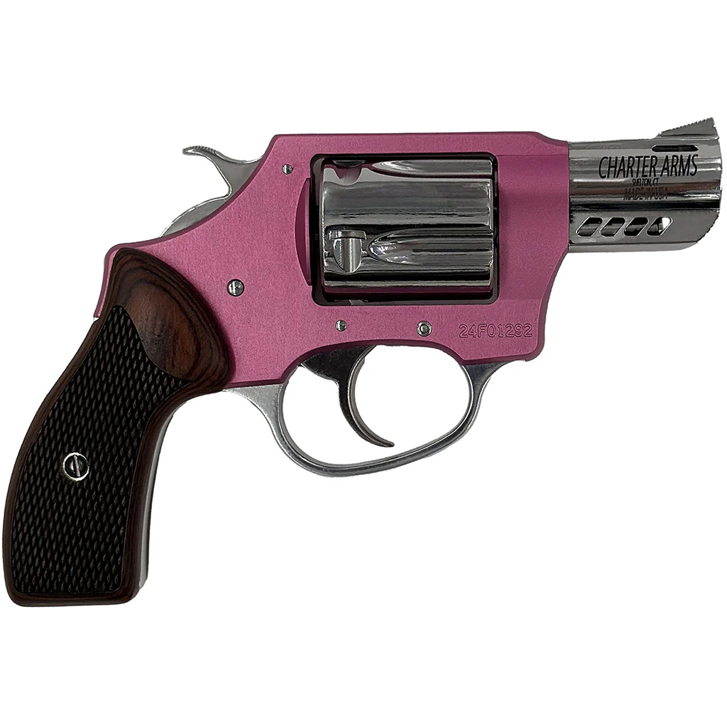 Charter Arms Coyote 380 ACP - Jimmy's Creek Firearms view 3