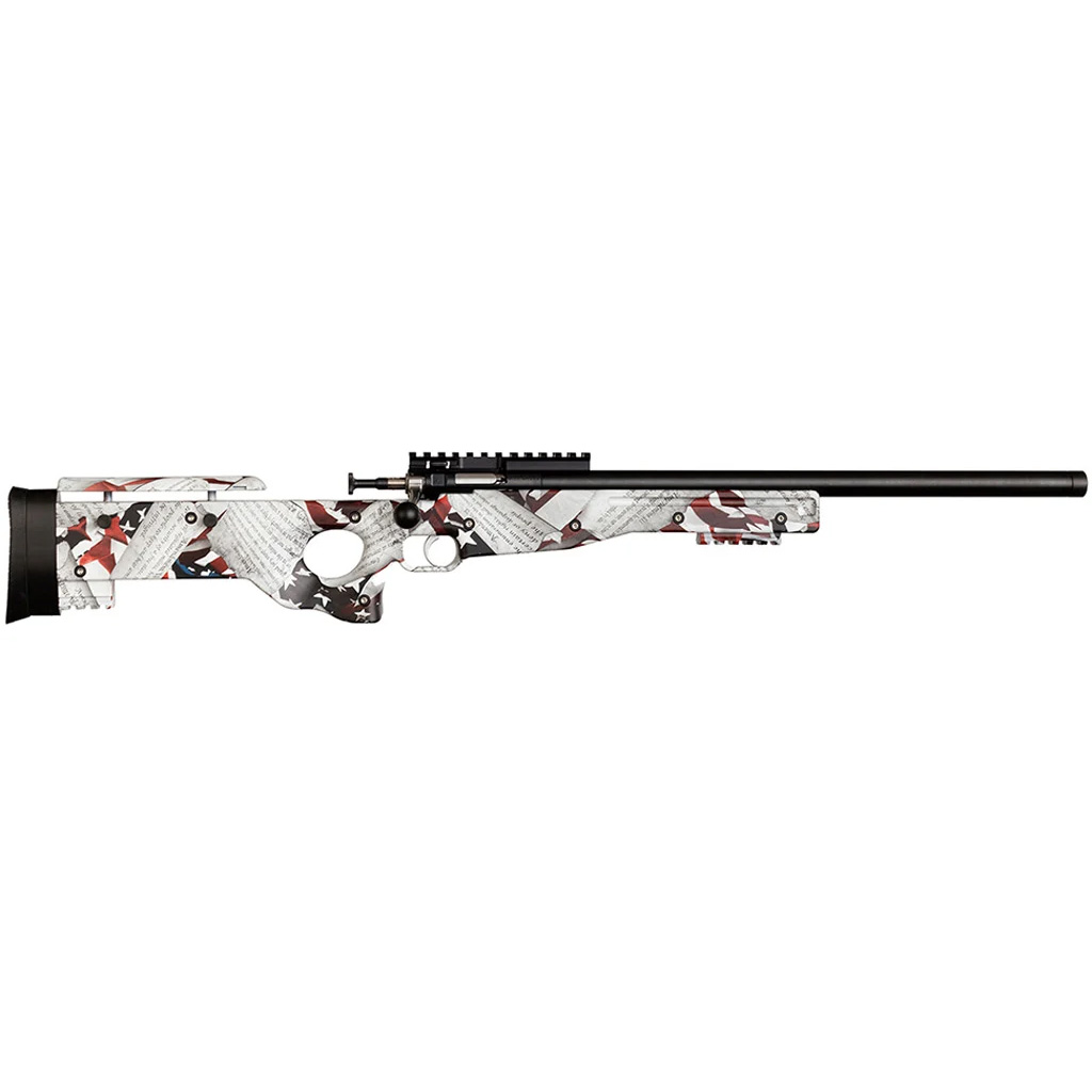 Crickett Precision - Jimmy's Creek Firearms view 2