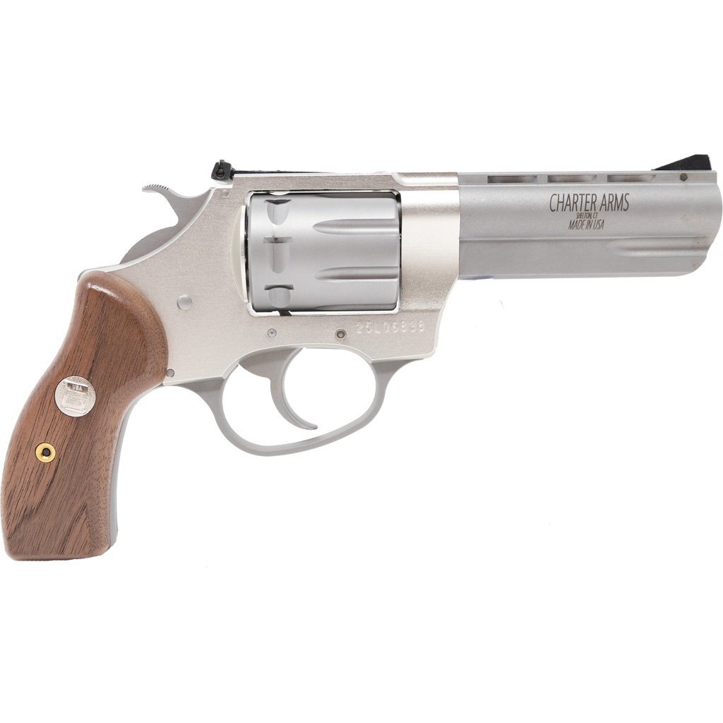 Charter Arms Pathfinder II 22 LR - Jimmy's Creek Firearms view 5