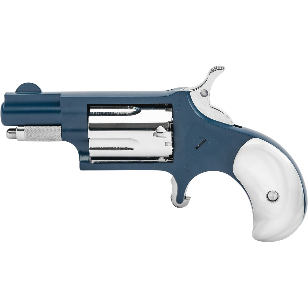 North American Arms 22 LONG RIFLE - Purple Mountain Armory view 5