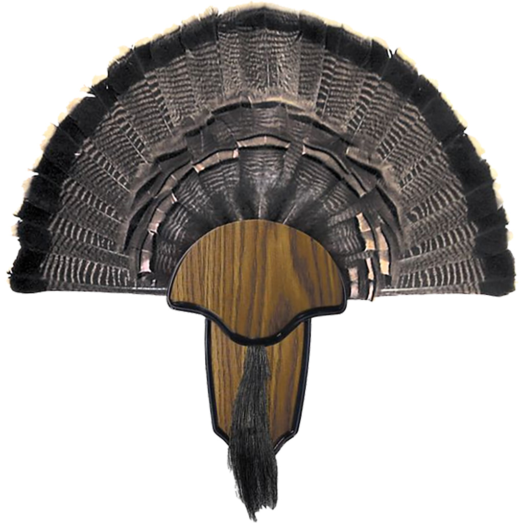 Hunters Specialties - Purple Mountain Armory view 2