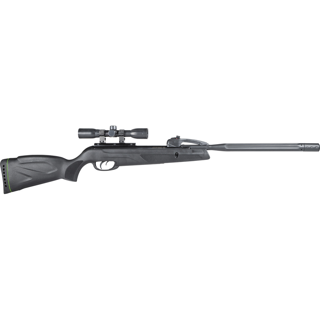 Gamo 22 CALIBER - Purple Mountain Armory view 5