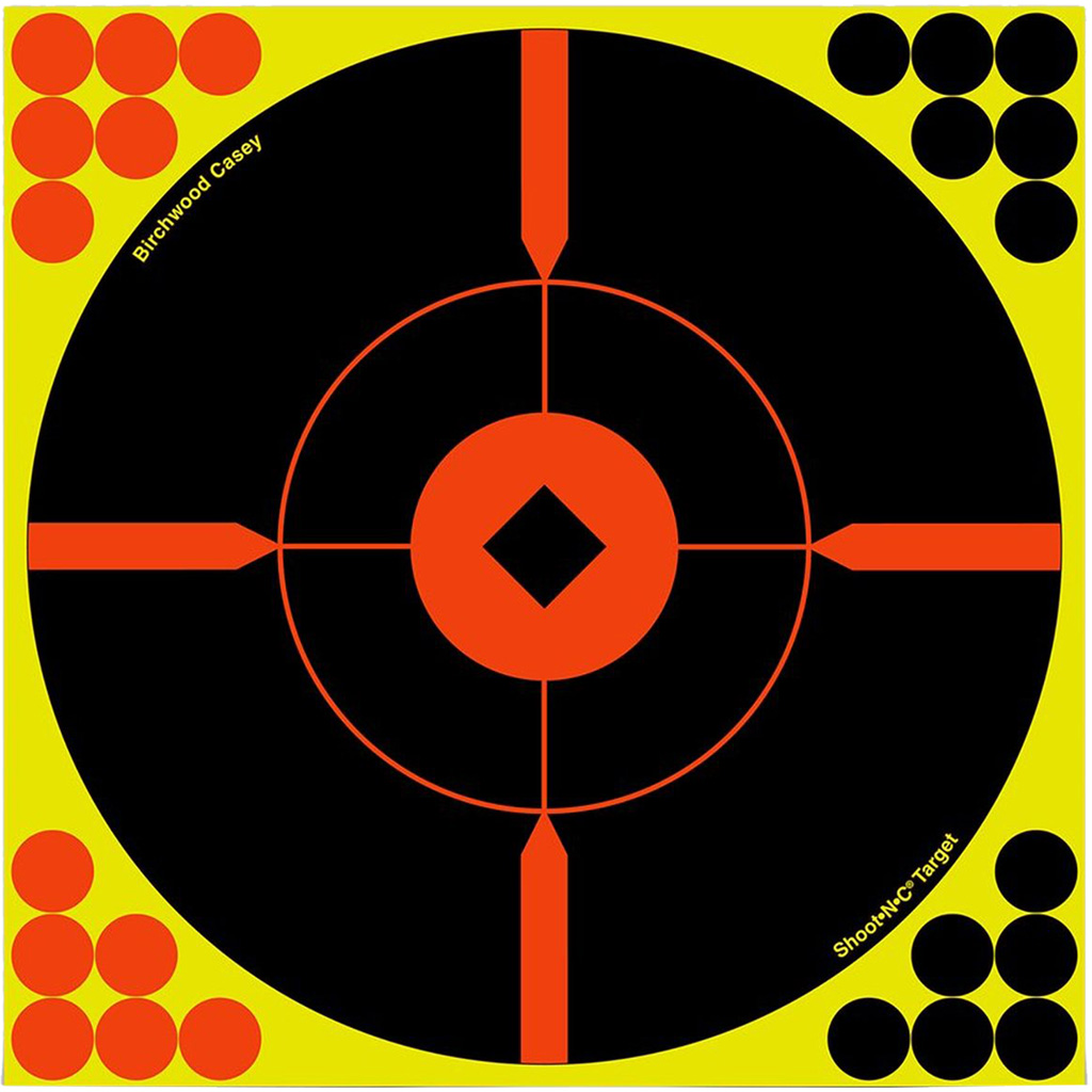 Birchwood Casey - Purple Mountain Armory view 3