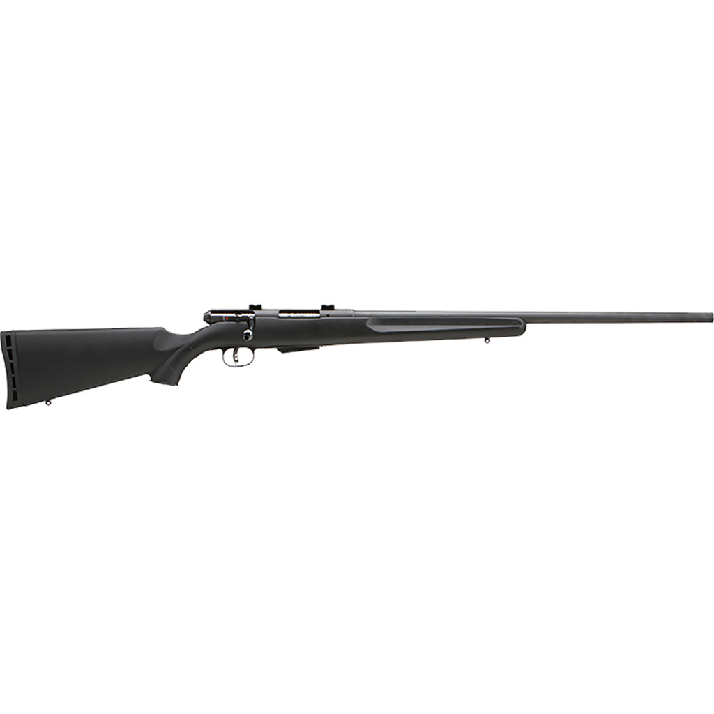 Savage 25 - Jimmy's Creek Firearms view 2