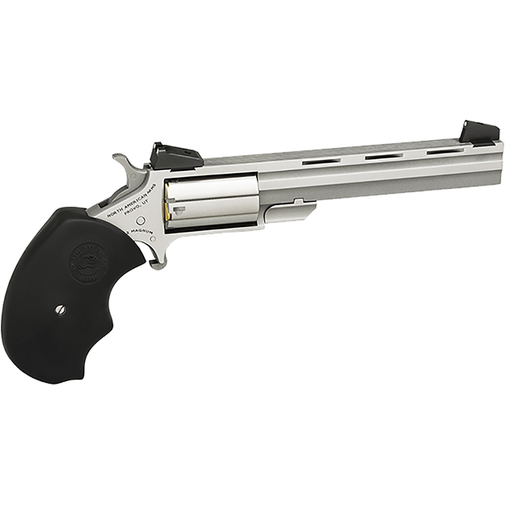 NAA Mini-Master - Jimmy's Creek Firearms view 2