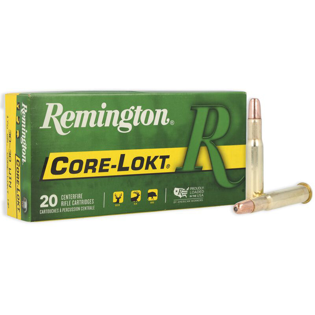 Remington 30-30 WIN - Purple Mountain Armory view 2
