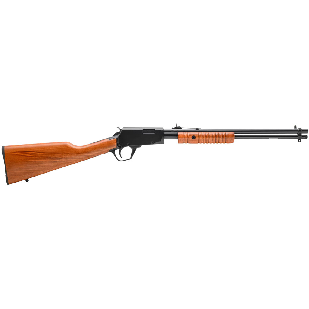 Rossi Gallery 22 LR - Purple Mountain Armory view 5