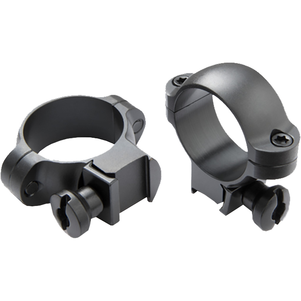 Burris Optics Rimfire - Purple Mountain Armory view 4
