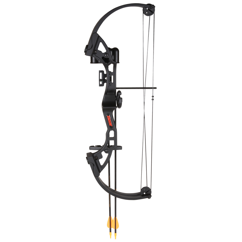 Escalade Sports DBA Bear Archery - Purple Mountain Armory view 2