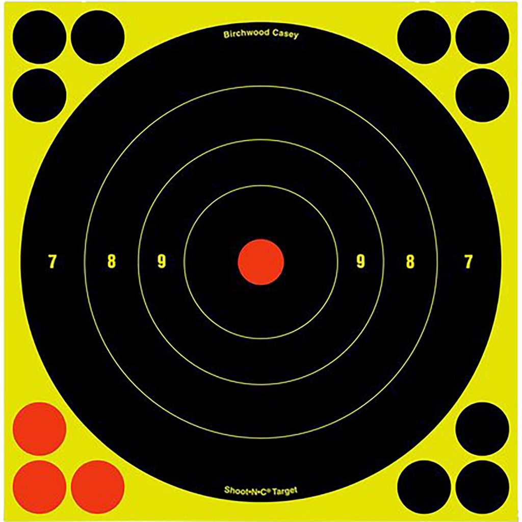 Birchwood Casey - Purple Mountain Armory view 4