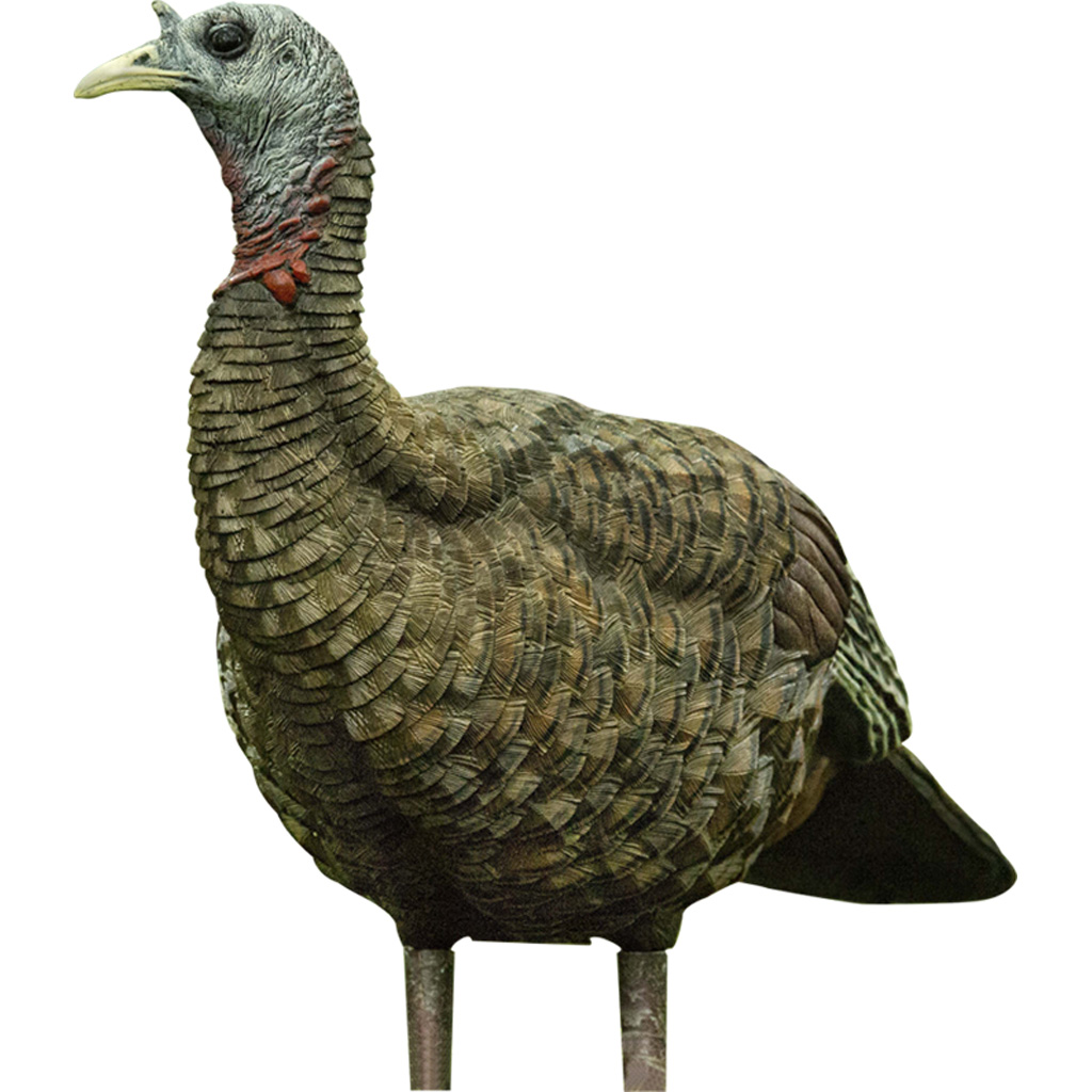 Avian X AVXAVX8006 LCD Lookout Hen Turkey Species Multi Color Dura-Rubber