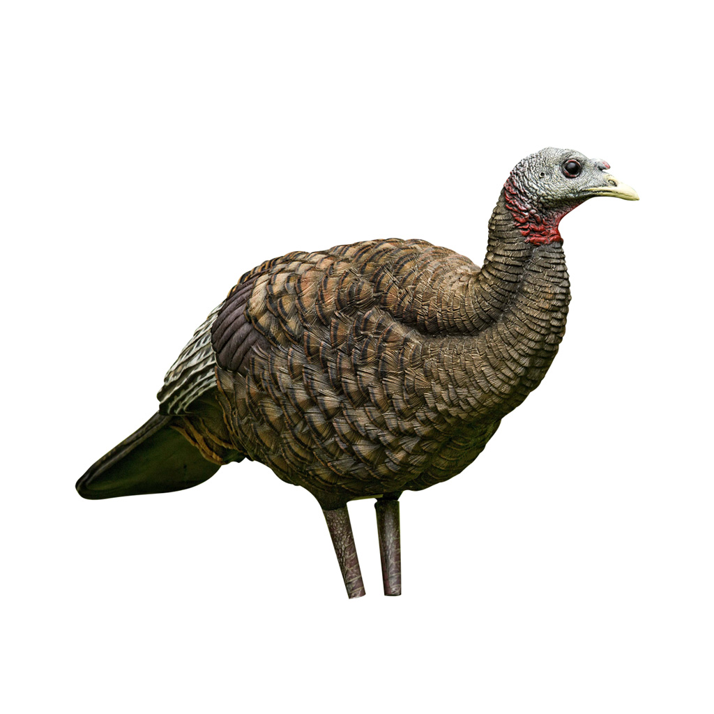 AVIAN X (GSM) LCD - Jimmy's Creek Firearms view 2
