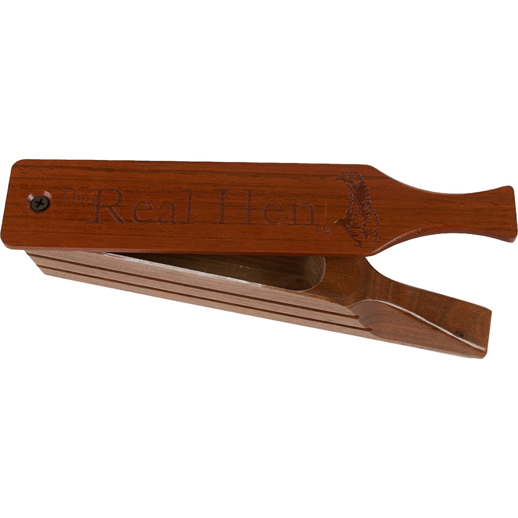 Woodhaven Calls - Purple Mountain Armory view 2