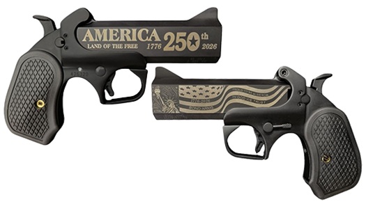 Bond Arms America 250th 410 Bore | 45 Colt - Jimmy's Creek F view 2