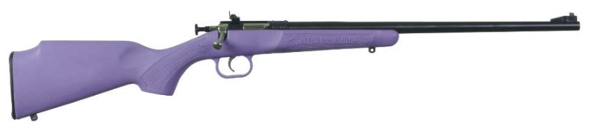 Keystone Sporting Arms Crickett 22 LR - All Geared Up FFL view 2
