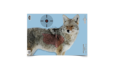 Birchwood Casey - Circle Square Firearms view 2