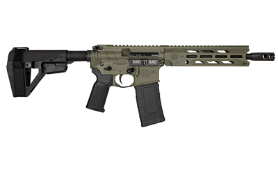 Diamondback DB15 300 Blk - All Geared Up FFL view 4