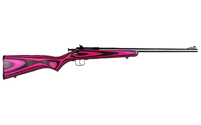 Keystone Sporting Arms Crickett 22 LR - All Geared Up FFL view 2