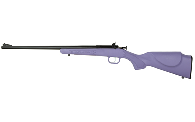 Keystone Sporting Arms Crickett 22 LR - All Geared Up FFL view 3