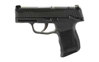 Sig Sauer P365 380 Auto - Purple Mountain Armory view 4