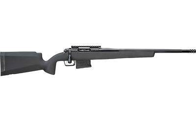 Springfield Armory 2020 Waypoint 308 Win - Jimmy's Creek Fir view 2