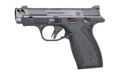 S&W BODYGRD 2.0 PC 14417 380 3.1 10/12R GRY/BLK TS